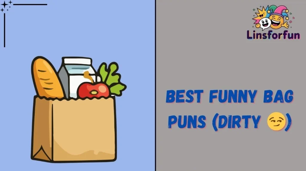 Best Funny Bag Puns (Dirty 😏)