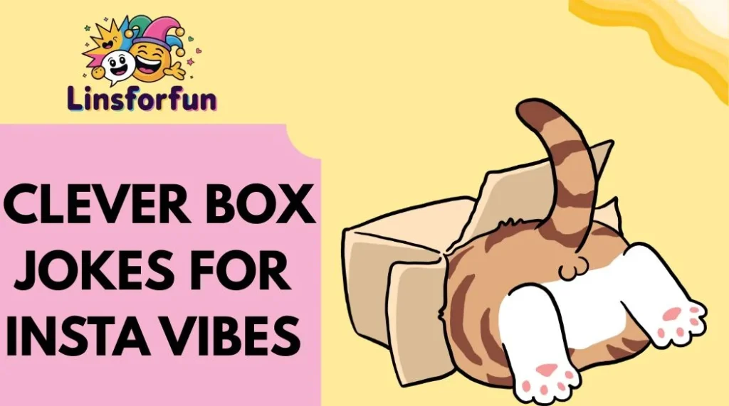 Clever Box Jokes for Insta Vibes