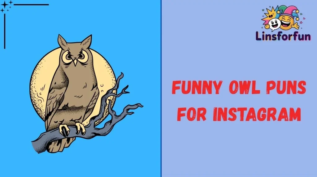 Funny Owl Puns for Instagram