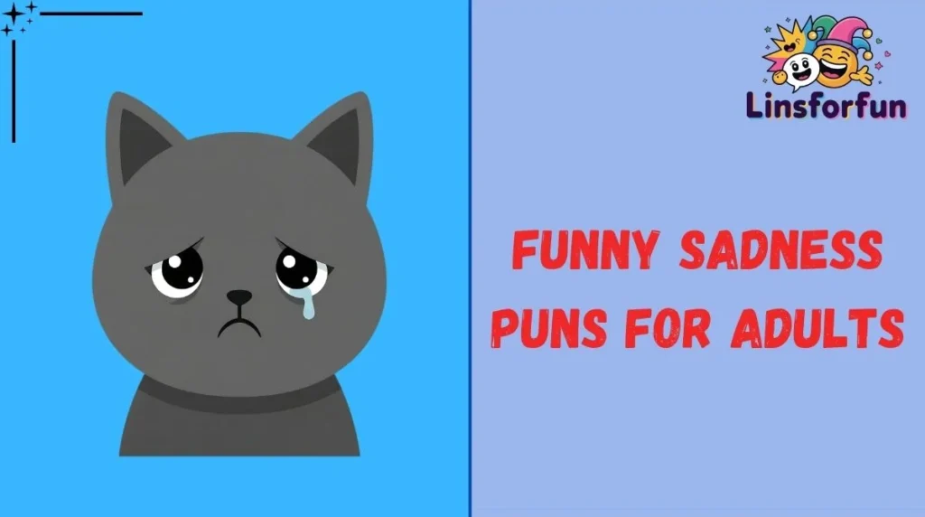 Funny Sadness Puns for Adults