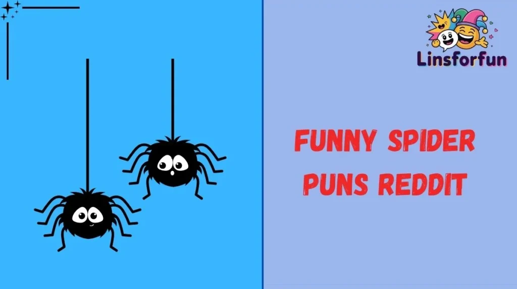 Funny Spider Puns Reddit