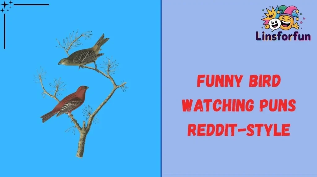 Funny Bird Watching Puns Reddit-Style
