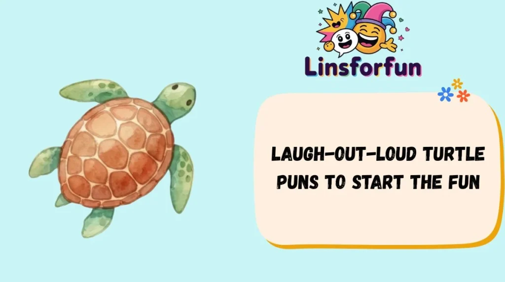 Laugh-Out-Loud Turtle Puns to Start the Fun