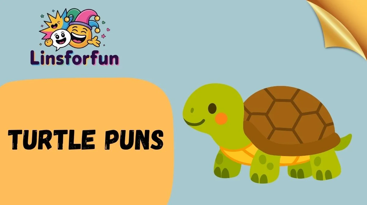 Turtle Puns