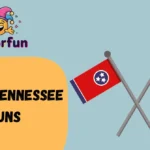 Funny Tennessee Puns