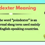 Poindexter Meaning