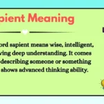 Sapient Meaning